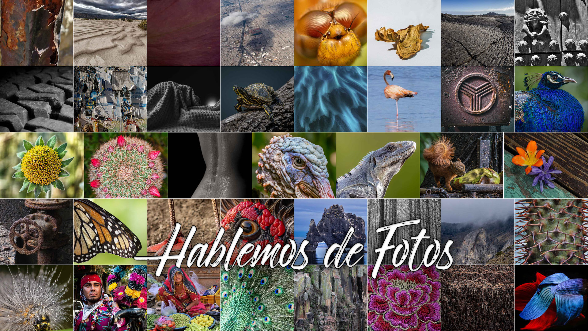 Viendo Texturas por medio de la Fotografía