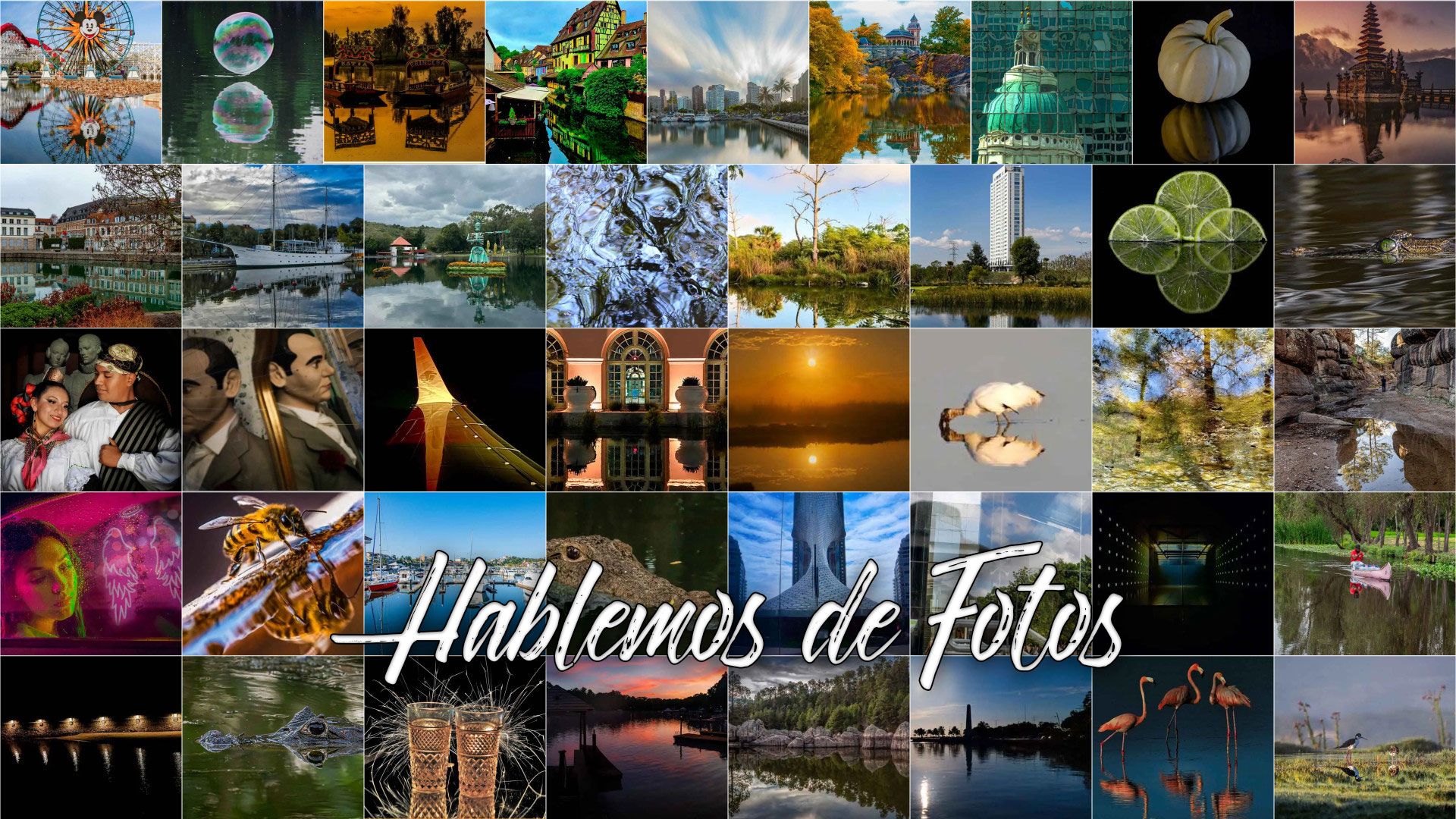 Reflejos