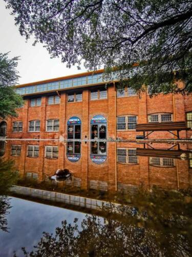 Guillermo Rodríguez