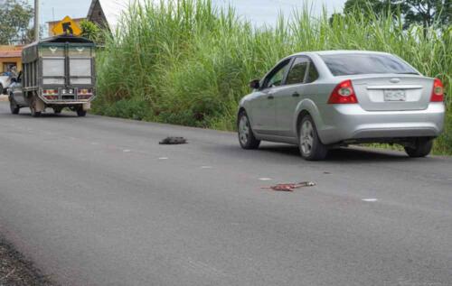 Sergio Zapata