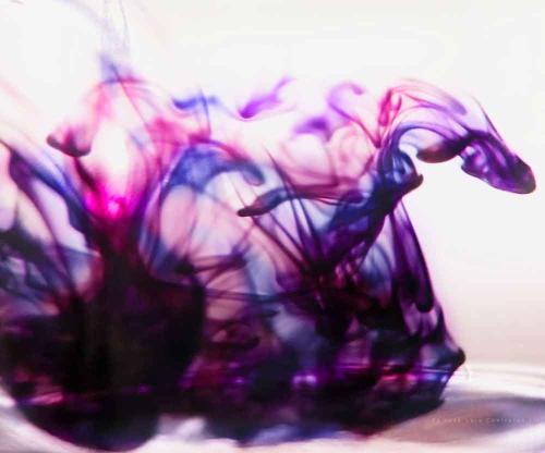 José Luis Contreras