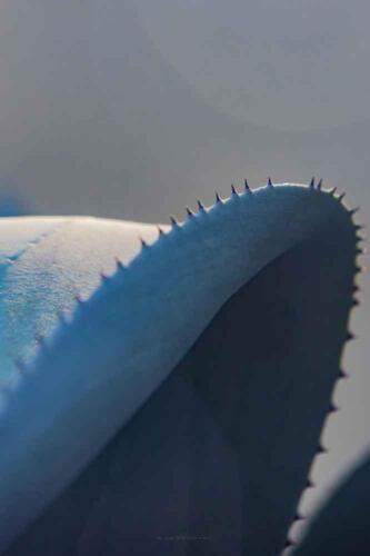 José Luis Contreras