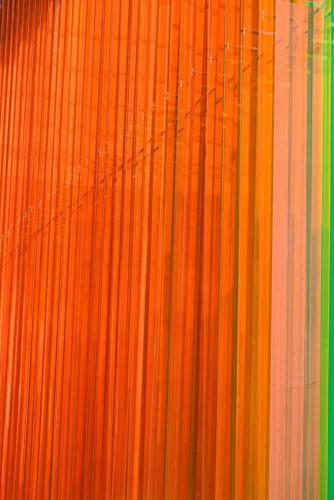 Guillermo Rodríguez