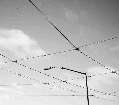 José Antonio Vázquez