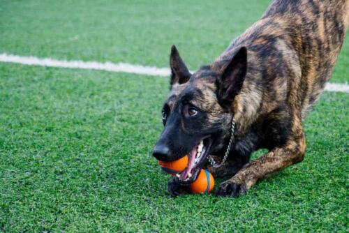 Marycarmen Solórzano