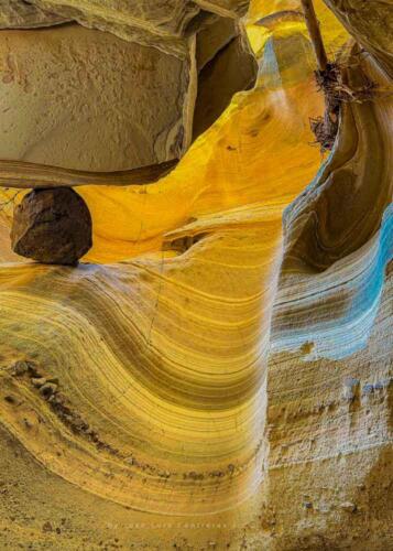 José Luis Contreras