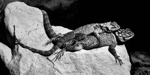 José Antonio Vázquez