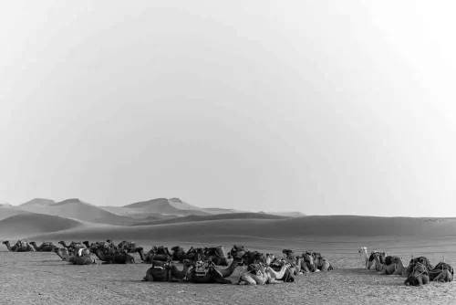 José Antonio Macbeath