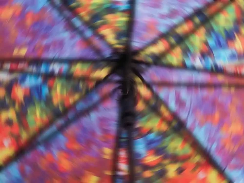 Héctor Amato