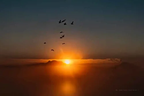 José Luis Contreras