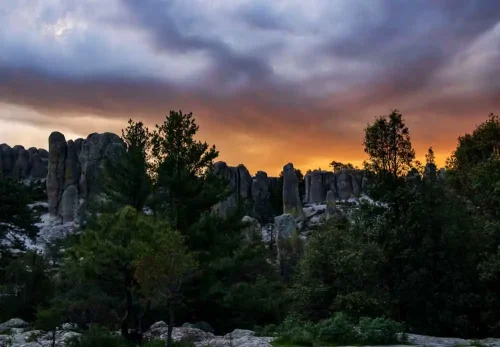 MaryCarmen Solórzano