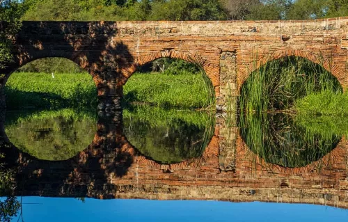 MaryCarmen Solórzano