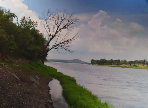 Francisco Santillana