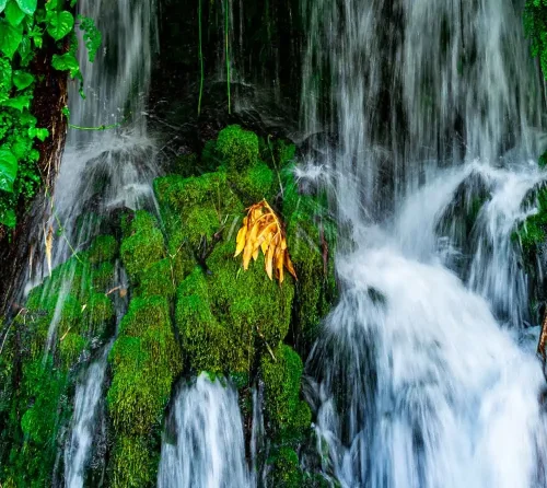 José Antonio Macbeath