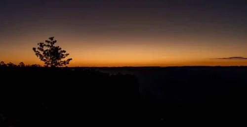 MaryCarmen Solórzano