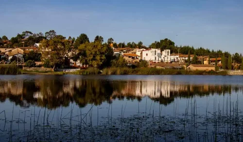 MaryCarmen Solórzano