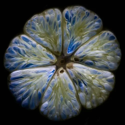 Moraima Canudas