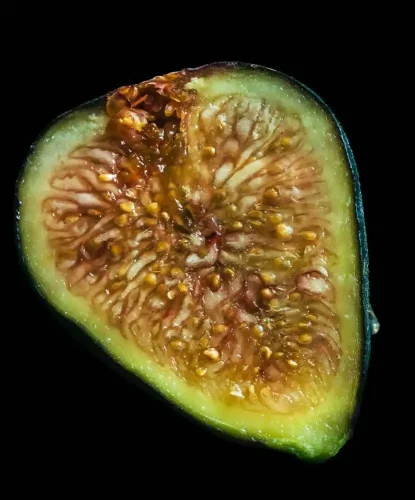 Carylu Candiani