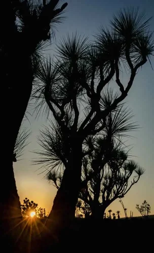 José Luis Contreras