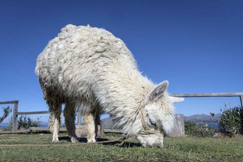 Fernando Rodríguez