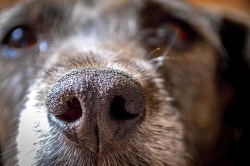 Víctor Saldaña Rivero