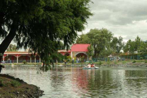 Ana Consa