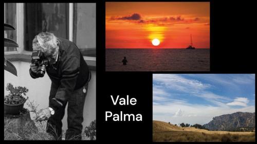 Vale Palma