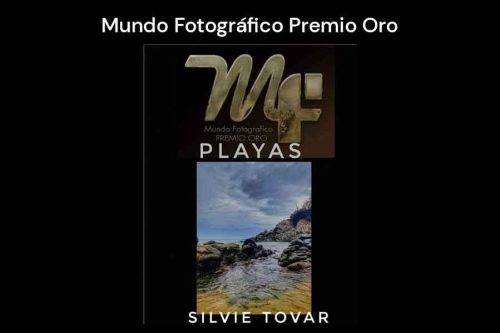 SilviaTovar