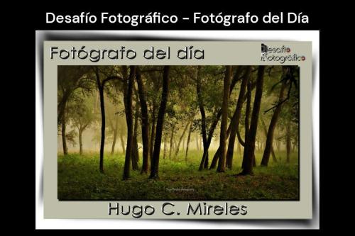 Hugo Mireles