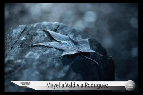 Mayella Valdivia