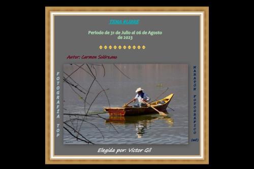 María del Carmen Solórzano