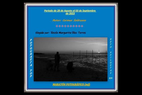 María del Carmen Solórzano