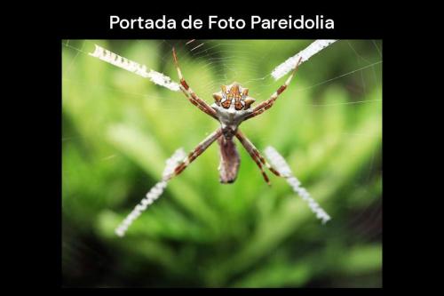 María del Carmen Solórzano