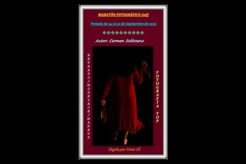 María del Carmen Solórzano