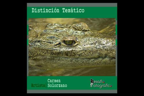 Marycarmen Solórzano